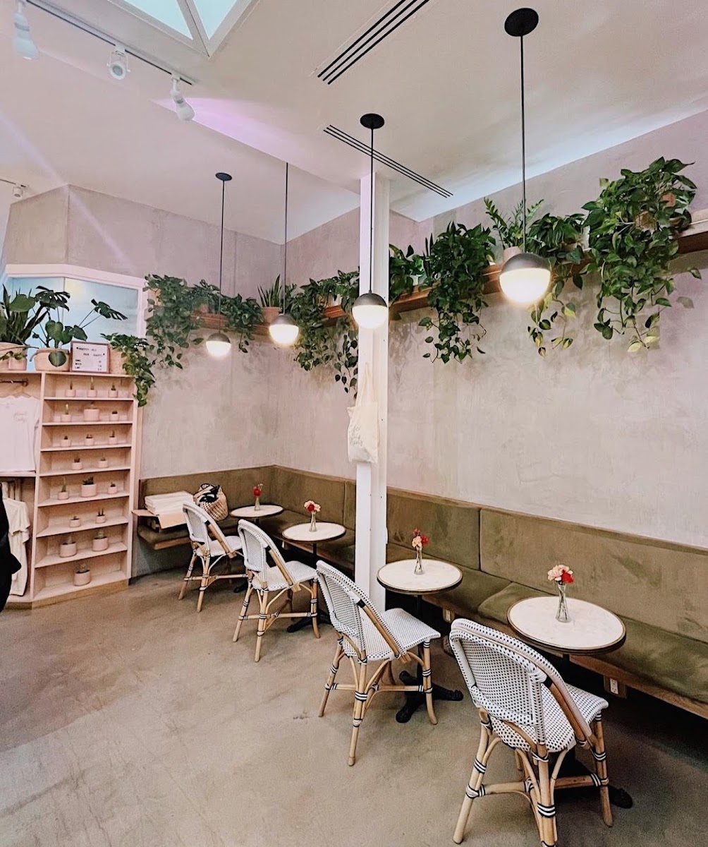 Coffee and Plants